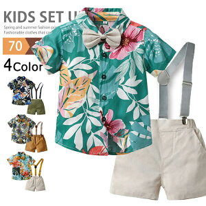 q ZbgAbv  j̎q AnVc ㉺Zbg LbY JWAVc tH[} Vc Tybg xr[ qVc WjA AnZbgAbv   