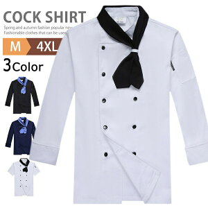 Xg Vc   RbNVc RbNR[g lbJ`[tt Y fB[X  ~[ HX  ~[  RbN VFt C^A Xg JtF  