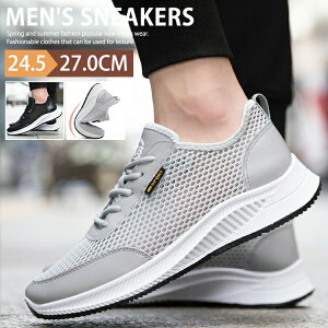 T}[V[Y Y EH[LOV[Y bVV[Y Xj[J[ ^C y y StV[Y jOV[Y g[jOV[Y  Ȃ ʋC 