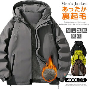 }Eep[J[ Y N h gbLOWPbg EChu[J[ StEFA {Au]  h oR oREFA AEghA p[J[ t[ht }Ep 