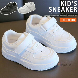 xr[V[Y Xj[J[ qC xr[C LbYXj[J[ qǂ JWA X|[eB Ԃ c  j̎q ̎q 킢  ǂ  v[g