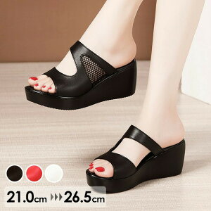 EFbW\[ ~[ bV T_  EGbW\[ T_ fB[X q[T_ 傫TCY TCY Sn悢  r  킢 C 