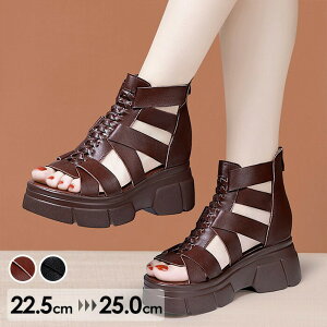 u[cT_  EFbW\[ T_ EGbW\[ T_ fB[X Ƃ XgCvT_ Sn悢  r l  C  񂾂 ubN 