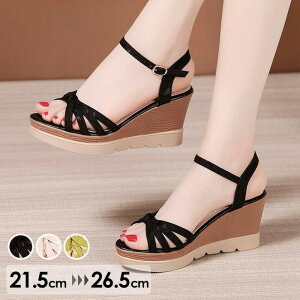 EFbW\[ T_  EGbW\[ T_ fB[X Ƃ q[T_ ANXgbv XgCvT_ 傫TCY TCY Sn悢 