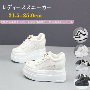 bVXj[J[ fB[XV[Y C Xj[J[  JWA Cq[Xj[J[ EGbW\[ [XAbv [Jbg V[Y fB[X V[Y Xj[J