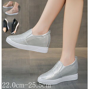 Xj[J[ Cq[ LL Xb| S\[ PU  TCY 傫TCY [Jbg [t@[ fB[X ubN Vo[ g6lc