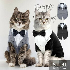 ybg  L  RXv tH[} X[c ^LV[h  Be p[eB[    RX`[ m ^ ^ Lp  ϐgߑ ߑ hXAbv   O