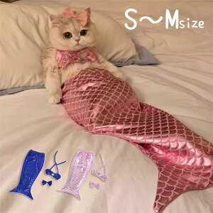 lߑ L  ybg RXv }[Ch hX nEB RX`[ ZbgAbv ʐ^f  킢 sN u[  ؕ ĕ ^ Lp S M x1lc