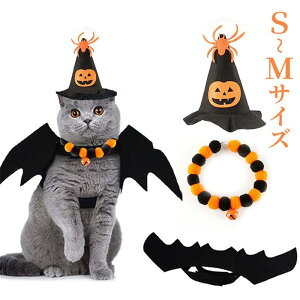 nEB L  RXv ߑ RE }g Xq  ^ ^ ybgp nEBϐgZbg  H XpC_[ XqZbg z[  킢 ʐ^f x1lcx1x1