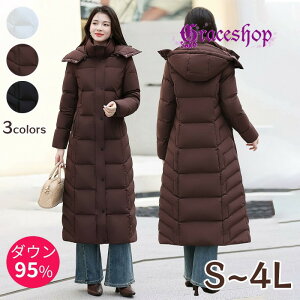 O_ER[g fB[X 95_E _ER[g O _EWPbg ~AE^[ O h R[g t[ht y g  h ʋ ʊw o JWA t