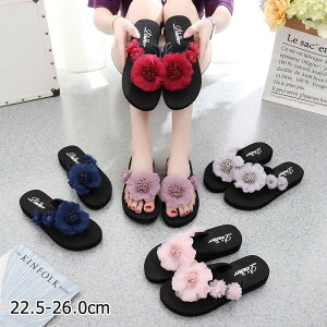 T_ fB[X gOT_ r[`T_  T_ RT[Wt EFbW\[ ƂȂ 傫TCY TCY i JWA 킢  C v[