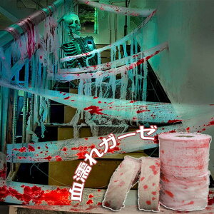 nEB  K[[ z o   z[ ]r zS S[Xg O ̂t fR[V  GȎ ܂݂̃K[[ A t  | | p[eB[