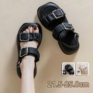 T_  T_ fB[X q[6cm xg ₷ y r r[`T_ C JWA   zCg 21.5 22.0 22.5 23.0 23.5 24.0 24.5 25.0 m5lc