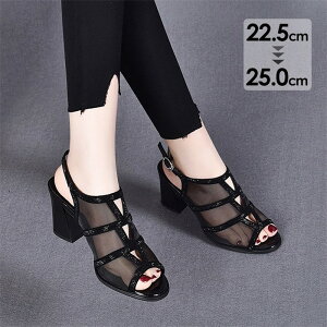 u[cT_ T_ fB[X bV I[vgD T}[u[c V[gu[c  nCq[ sq[ r 傫TCY    V[X[  c6lc