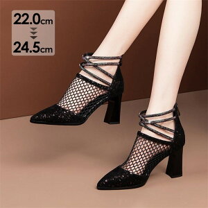 u[cT_ T_ fB[X bV I[vgD T}[u[c V[gu[c  nCq[ sq[ r 傫TCY    V[X[  o