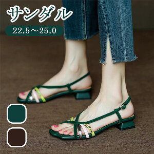 XgbvT_ g  ؚT_ fB[X ׃Xgbv ɂȂ ₷ EhgD i ꂢ  ZNV[ uE O[ ʋ ItBX o f