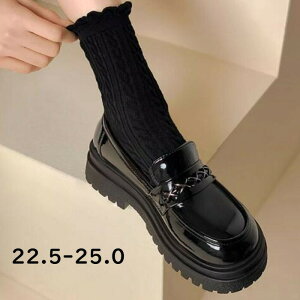 [t@[ fB[X w  q[3-5cm   JK ̎q JWA t  H ~ I[V[Y WjA XN[[t@[ r t@bV w Ǝ ʋ ʊw u