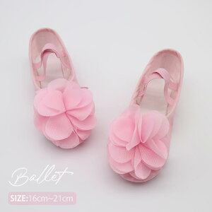 oGV[Y q LbY sN V[Y WjA ̎q SҌ Kp  LoX z ߂ oG NXS  y 16.0cm~21.0cm oGpi bX _X ̑ \