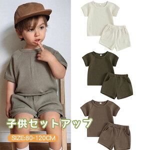 ZbgAbv LbY n ㉺Zbg xr[  tVc V[gpc W[W qǂ j̎q ̎q gbvX {gX 킢 Vv 2_Zbg q ĕ  t  