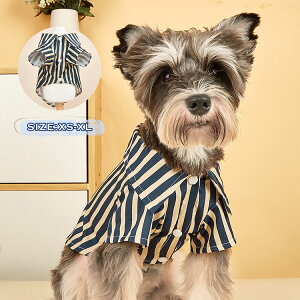  hbOEFA 킢 j̎q XgCv tH[} Vc L ^  ybgEFA ̕ 킢  hbOEFA  ybg H ~ CX^f 񂿂 