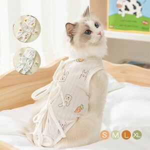 Lp 앞 ybg p㕞 pEFA ی r GUxX LbgEFA ~h~ D ̕ی D Dp Jp  B EFA   Eѕی  C