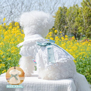 ybg s[X L Pl hX XJ[g [X  { Ȃ m t LOBe  vZXXJ[g   j LOp[eB[  y ^ 