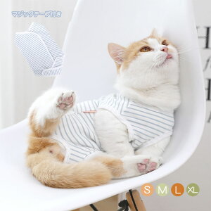 Lp 앞 p㕞 ybg p㒅 킢 pEFA QԒ pW} hbOEFA ybg  L p  rߖh~ ی D  畆ی Dp Jp  B 