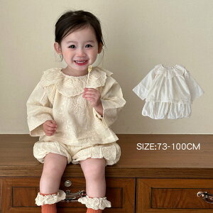 xr[X[c q ZbgAbv uEX Vc ڂpc o oYj v[g ̎q a tH[} X[c q xr[ ㉺Zbg   Ԃ 