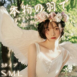 Vg̗ H EBO RXv  l q ̎q j̎q GWF  ϑObY RX`[ nEB NX}X \ w  p[eB[ Cxg  zCg V