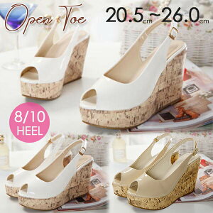 I[vgD T_ EFbW\[ T_ RN Ƃ obNXgbv fB[X TCY 傫TCY pvX Xg[   r Gi  JW