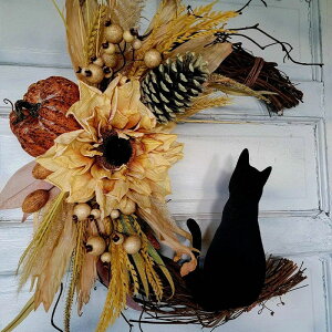 nEB [X nEB ̉ԗ nEB Ǌ| hA[X 悤 nEB[X nEB ԗ   Ԃ牺 p[eB[ O X Be 