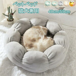 ybgxbh  L lR t H ~ ybgnEX h[nEX L̑ ̑ ybg\t@ ybg}[g ی^ Ԍ^  h[^ Q  ӂӂ  g h ΍ 