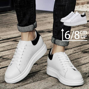 V[NbgV[Y Y fB[X Xj[J[ t  H V[NbgXj[J[ Xj[J[ 6cm/8cmUP gAbv 6cm/8cmAbv gup Cq[ wȂC y  V[Y 