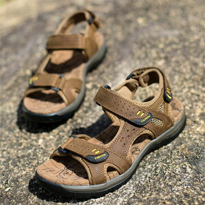 X|[cT_ Y T_ }WbNe[v r[`T_ AEghAT_  ėp uh C 傫TCY uhT_  ɂȂ  YC T}[T_