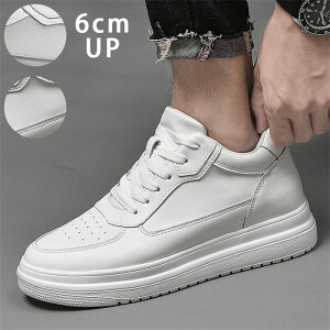 Xj[J[ Y C  PUU[ tbgV[Y 6cmUP  g6cmAbv wȂ t  H ~  Xj[J[ n Vv X|[c vC bV V[NbgV[Y [