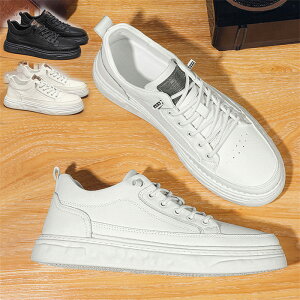 Xj[J[ Y C t  H n Vv y V[Y tbgV[Y amC jp [Jbg ZC YC  JWA V ʋ d ubN zCg Ȃ 