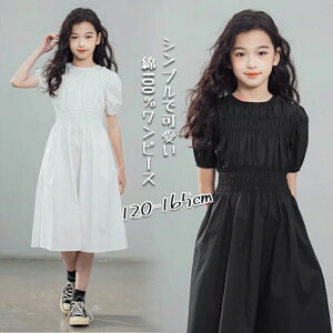 s[X  LbYs[X ptX[u MU[ ̎q LbY q t  qǂ 100% w WjA K[Y ʊw o JWA gh ؍ 킢 