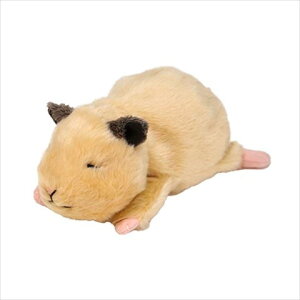 yZ̓z@nX^[@Hamster@ʂ݁@킢@GOTTE@@v[g@Mtg