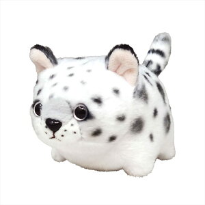 yۂ܂zlRȃV[Y ʂSTCY LqE