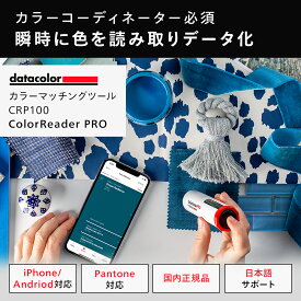 【国内正規品】Datacolor ColorReader Pro カラーマッチングツール CRP100 カラーリーダー 色彩読み取り 測定 デザイン カラーコーディネーター カラーパレット 測色 カラーピッカー カラーピック 色見本 カラーテーブル ポータブル