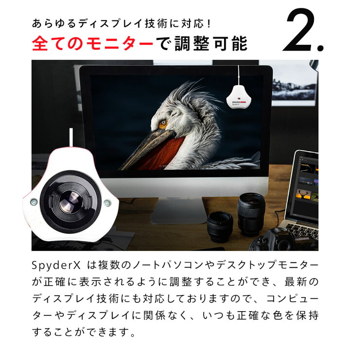 楽天市場】【国内正規品】Datacolor SpyderX Pro ディスプレイ 