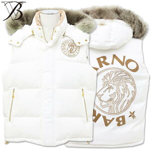 o[j@[m BARNI VARNO CIfUC_ExXg LLTCY BAW-IDV3401 zCg 02 WPbg AE^[ xXg H~