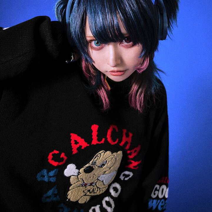 楽天市場】ガルフィー GALFY 二代目わんんわん大学 セーター ニット 