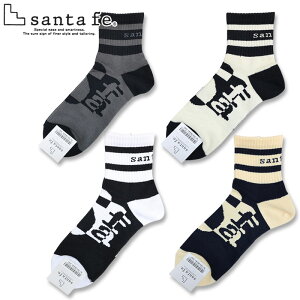 �T���^�t�F �X�j�[�J�[ �\�b�N�X 251-03804 �z���C�g �A�C�{���[ �u���b�N �x�[�W�� santafe �C�O���X �h�J �����Y �C�� 25SS