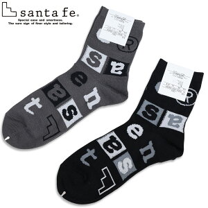 �T���^�t�F �C�� �\�b�N�X 253-04404 �u���b�N �O���[ santafe �C�O���X �����Y �C�� 25AW