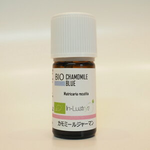 J~[W[} 2ml  A}ICsGRT[gEUF؁tCXg[Y