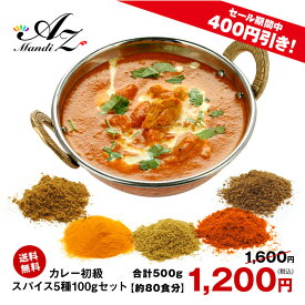 ＼ スーパーSALE 10％ OFF!! ／【送料無料 レシピ付】カレー 初級 スパイス 5種 セット 100g 大容量 チャック袋入 スパイス スパイスカレー おうちカレー 手作りカレー 送料込み お得 人気 お試し お試しセット クリスマス Christmas Xmas