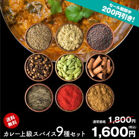 【送料無料 レシピ付】 カレー 上級 スパイス 9種 セット チャック袋入 スパイスカレー 手作りカレー 送料込み チキンカレー クミン クローブ コリアンダー マスタードシード カルダモン シナモン ブラックペッパー クリスマス Christmas Xmas