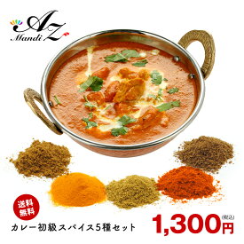 【送料無料 レシピ付】 カレー 初級 スパイス 5種 セット チャック袋入 スパイスカレー 手作りカレー クミン ターメリック コリアンダー チリペッパー ガラムマサラ ポッキリ 送料込み お得 人気 お試し セット クリスマス Christmas Xmas