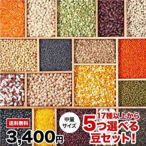 _ X[p[SALE 10 OFF!! ^ 17킩500g×5Iׂ铤ZbgII `bNܓ NX}X@ J[ 